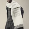 The Jacquemus scarf Fringe logo scarf